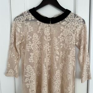 Zara Cream Lace Top with Black Collar